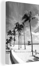 Canvas Schilderij Palmbomen aan het strand van Miami Beach - zwart wit - 20x30 cm - Wanddecoratie