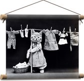 WallClassics - Poster textile - Chat faisant la lessive Zwart - Wit - 40x30 cm Photo sur Textile