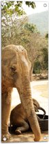 WallClassics - Poster de jardin - Éléphants au bol d'eau - 30x90 cm Photo sur Poster de jardin (décoration murale pour l'extérieur et l'intérieur)