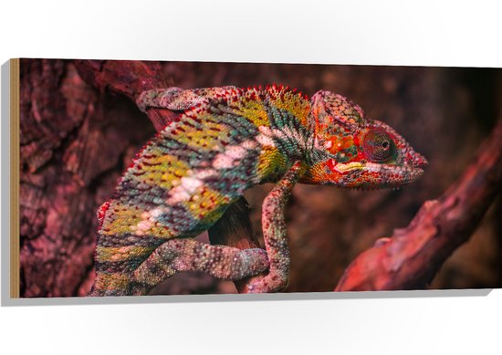 WallClassics - Hout - Kameleon op een Rood / Bruine Boom - 100x50 cm - 12 mm dik - Foto op Hout (Met Ophangsysteem)