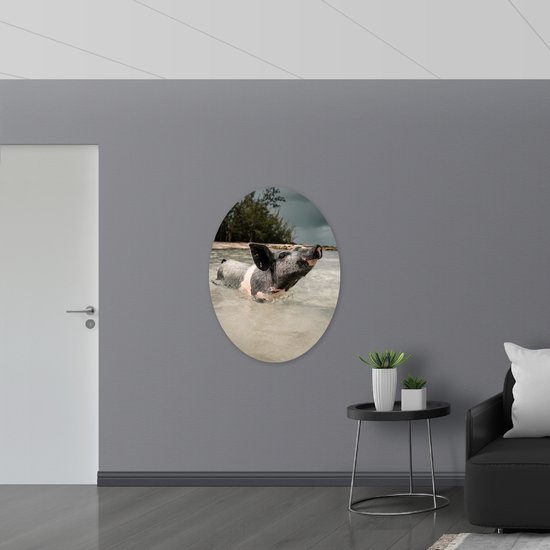 WallClassics - Dibond Ovale - Cochon profitant de la mer - Photo 81x108 cm sur ovale (avec système de suspension)