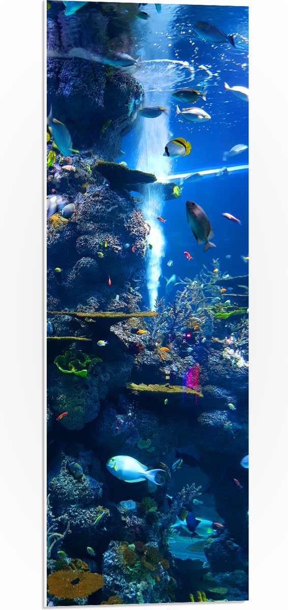 PVC Schuimplaat- Prachtig Aquarium met mooie Vissen - 30x90 cm Foto op PVC Schuimplaat