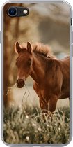 Telefoonhoesje Geschikt voor iPhone SE 2022 hoesje - Paard - Licht - Weide - Siliconen Telefoonhoesje