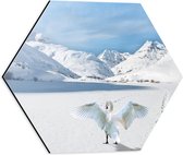 WallClassics - Dibond Hexagon - Zwaan in Besneeuwde Bergen - 40x34.8 cm Foto op Hexagon (Met Ophangsysteem)