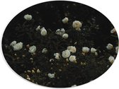 WallClassics - PVC Schuimplaat Ovaal - Struik met Witte Bloemen - 40x30 cm Foto op Ovaal  (Met Ophangsysteem)