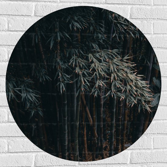 WallClassics - Muursticker Cirkel - Donkere Bamboe Bomen - 80x80 cm Foto op Muursticker