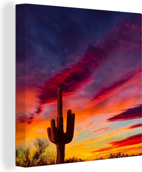 Canvas schilderij - Cactus - Zonsondergang - Paars - Natuur - Schilderijen op canvas - Foto op canvas - 20x20 cm - Wanddecoratie - Slaapkamer