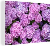 Canvas schilderij - Hortensia - Bloem - Plant - Natuur - Schilderij bloemen - 120x90 cm - Muurdecoratie - Canvasdoek