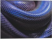 WallClassics - Vlag - Blauw Paarse Slangenhuid - 40x30 cm Foto op Polyester Vlag