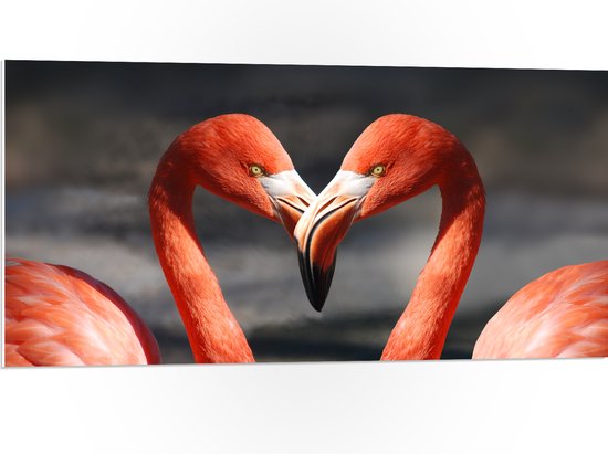 WallClassics - Panneau en mousse PVC - Deux flamants roses forment un cœur avec leur bec - Photo 100x50 cm sur panneau en mousse PVC