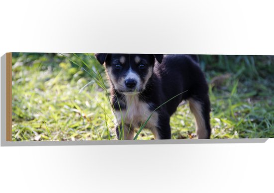 WallClassics - Hout - Puppy in het Gras - 90x30 cm - 12 mm dik - Foto op Hout (Met Ophangsysteem)