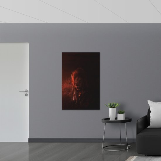 WallClassics - Poster (Matte) - Lion dans la nuit - 80x120 cm Photo sur Papier Poster d'aspect Mat