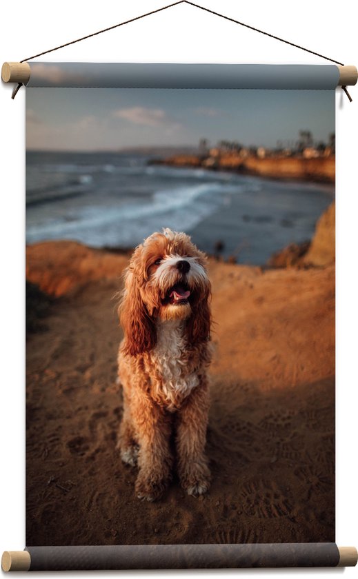 WallClassics - Textielposter - Vrolijke Hond op het Strand - 40x60 cm Foto op Textiel