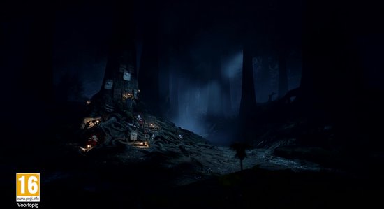 Hogwarts Legacy : L'Héritage de Poudlard