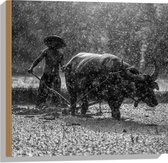 WallClassics - Hout - Aziatische Boer aan het Werk in de Regen Zwart / Wit - 50x50 cm - 12 mm dik - Foto op Hout (Met Ophangsysteem)