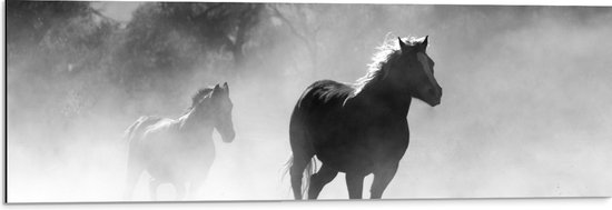 WallClassics - Dibond - Paarden in Galop Zwart / Wit - 90x30 cm Foto op Aluminium (Wanddecoratie van metaal)