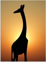 WallClassics - Poster Glanzend – Silhouette van Giraf voor Zonsondergang - 30x40 cm Foto op Posterpapier met Glanzende Afwerking