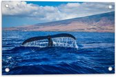 WallClassics - Tuinposter – Walvis Staart in de Zee - 60x40 cm Foto op Tuinposter  (wanddecoratie voor buiten en binnen)