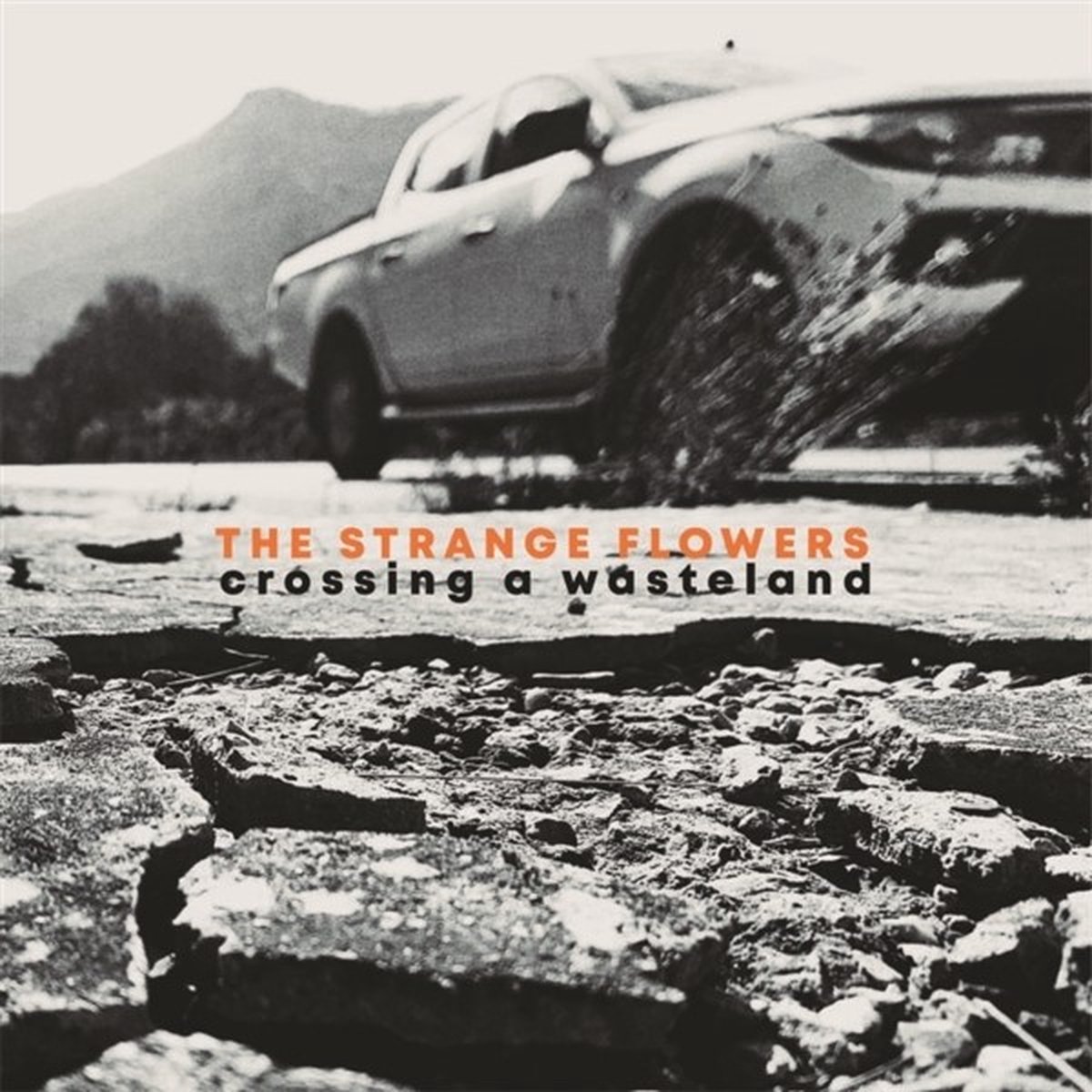 Strange Flowers - Crossing A Wasteland (LP)