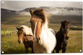 WallClassics - Tuinposter – Drie Paarden op een Heuvel - 90x60 cm Foto op Tuinposter  (wanddecoratie voor buiten en binnen)
