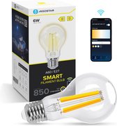 Aigostar 10YIF - Filament LED A60 - Culot E27 - Ampoule Connectée Wifi - Dimmable - 2700K-6500K - 6W