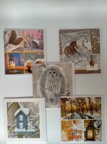 10 Luxe Winter / Kerst / Nieuwe jaar - Wenskaarten zonder tekst - Blanco - 12x11cm - Gevouwen kaarten met enveloppen
