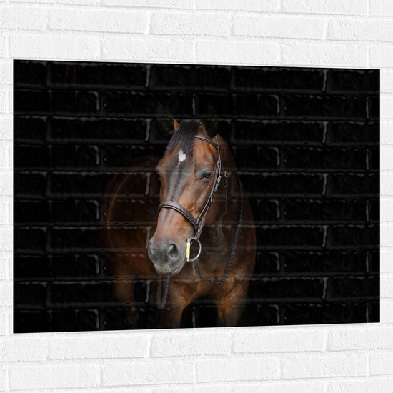 WallClassics - Muursticker - Bruin Paard met Zwarte Achtergrond - 100x75 cm Foto op Muursticker