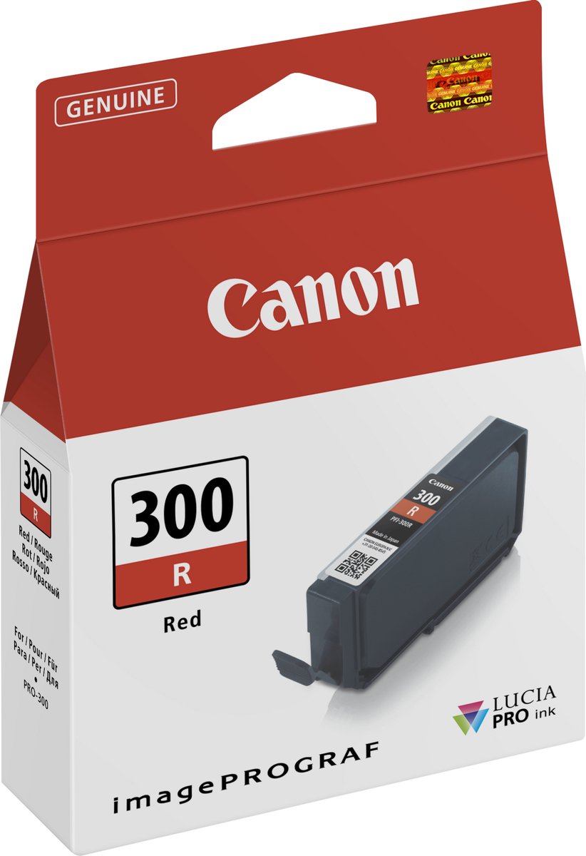 Original Ink Cartridge Canon 300R