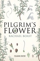 Pilgrims Flower
