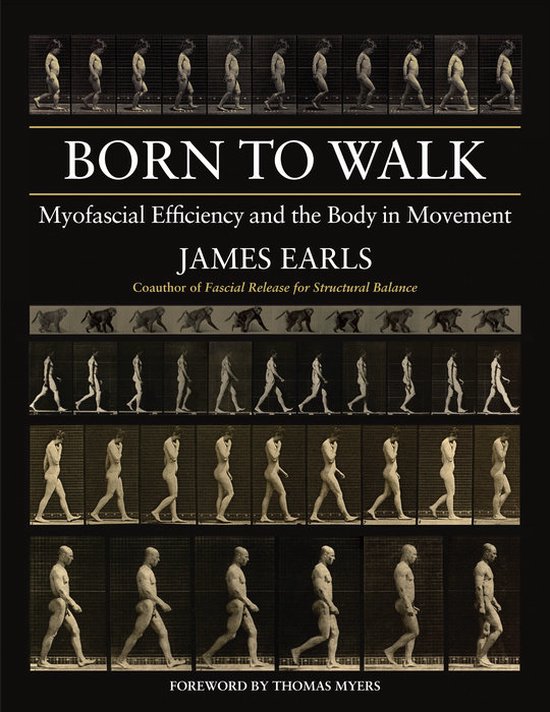 Born to Walk - cover