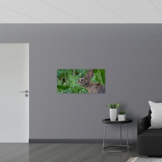 PVC Schuimplaat- Bruin Konijn Ruikt aan Groene Plant - 100x50 cm Foto op PVC Schuimplaat
