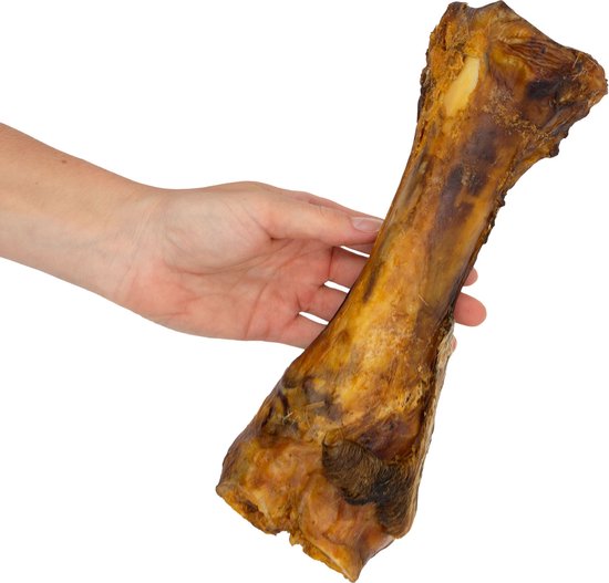 Bruine Hond Het Kauwen Ongelooide Huid Dogchew Traktatie Stock Foto - Image of eten, dier: 84441154