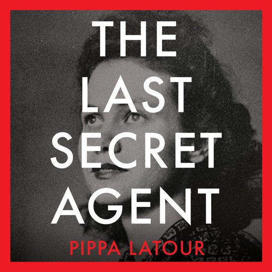 The Last Secret Agent - cover