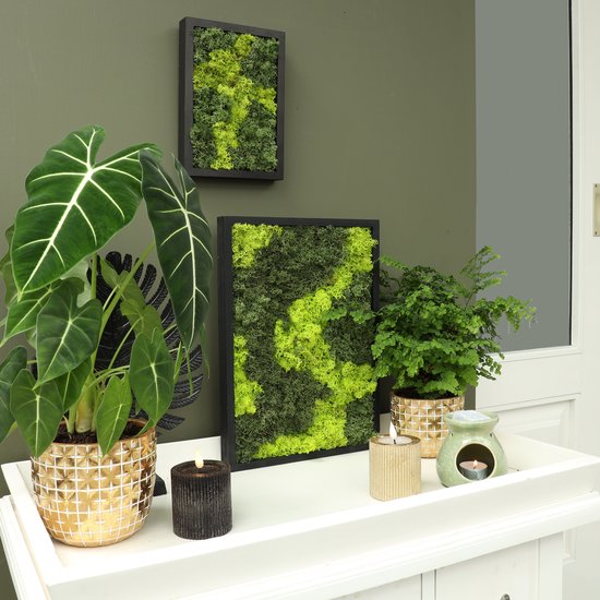 Deux œuvres d'art rectangulaires en mousse avec de la mousse de renne vert foncé et chartreuse, à côté de plantes et de bougies.