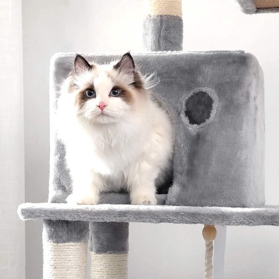 Grijze kattenkrabpaal met huisje. Een Ragdoll kat met blauwe ogen zit in het huisje.
