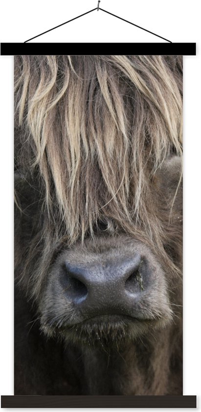 Porte-affiche avec affiche - Affiche scolaire - Scottish Highlander - Marron - Nez - 40x80 cm - Lattes noires