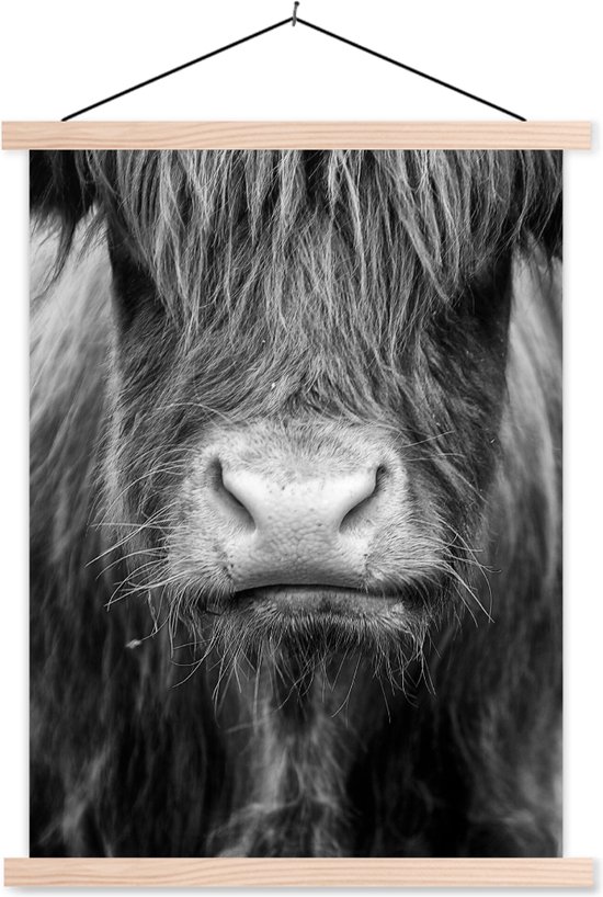 Porte-affiche avec affiche - Affiche scolaire - Highlander écossais - Vache - Zwart - Wit - Animaux - 60x80 cm - Lattes vierges