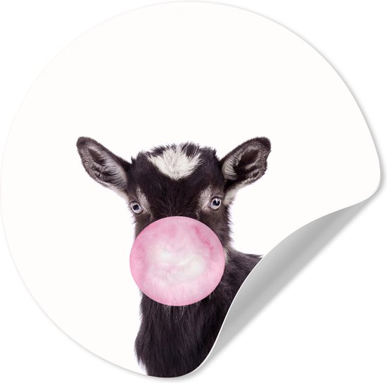 Papier peint autocollant enfant - Décoration Animaux enfant - Animaux - Chèvre - Rose - Bubble gum - Filles - Enfants - 100x100 cm - Décoration murale chambre garçon - Décoration chambre