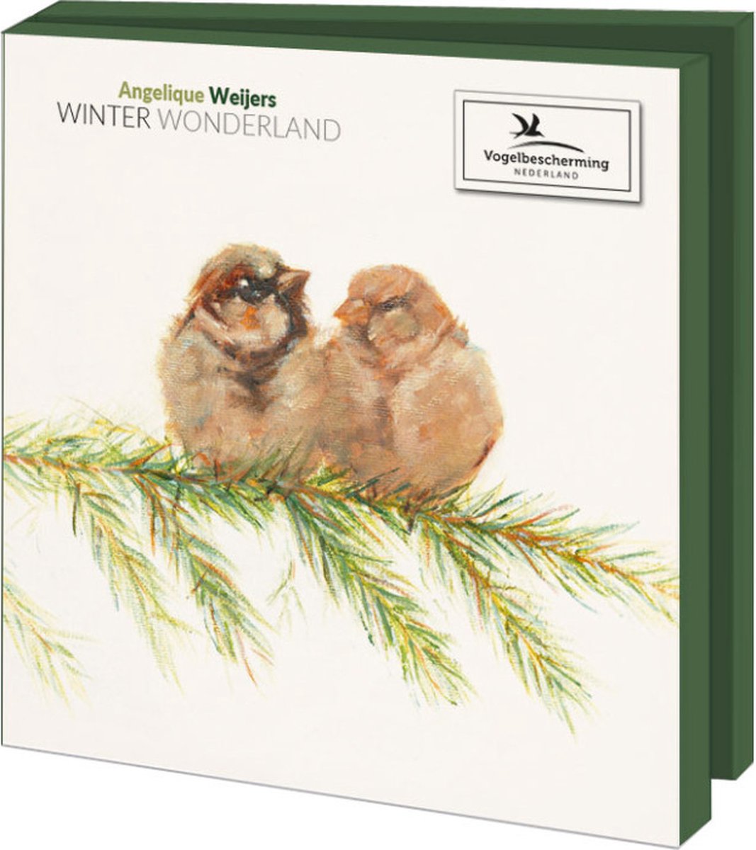 Kaartenmapje met env, vierkant: Winter Wonderland, Angelique Weijers, Vogelbescherming