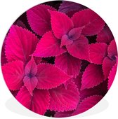 WallCircle - Wandcirkel 150x150 - Bladeren - Abstract - Patroon - Ronde schilderijen woonkamer - Wandbord rond - Muurdecoratie cirkel - Kamer decoratie binnen - Wanddecoratie muurcirkel - Woonaccessoires