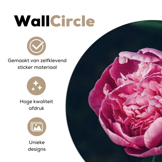 WallCircle® - Behangcirkel 50x50 cm - Muurstickers Bloemen - Roze - Rozen - Muurcirkel woonkamer - Wandcirkel slaapkamer - Kamer decoratie zelfklevend - Muurdecoratie accessoires