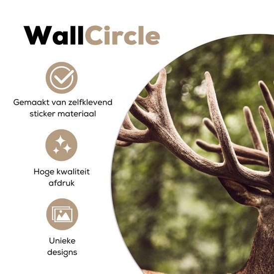 WallCircle® - Cercle de papier peint 80x80 cm - Stickers muraux Cerf - Nature - Bois - Forêt - Animaux - Cercle mural salon - Cercle mural chambre - Décoration murale autocollante - Accessoires de Décoration murale