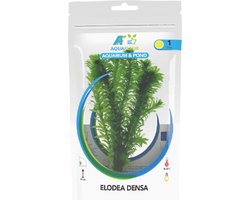 Aquafleur Elodea Densa | Waterpest | in Zak