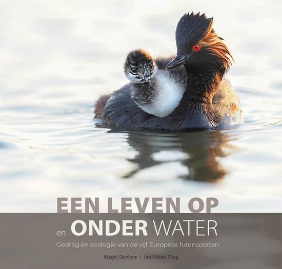 Vogelfamilies 1 - Een leven op en onder water