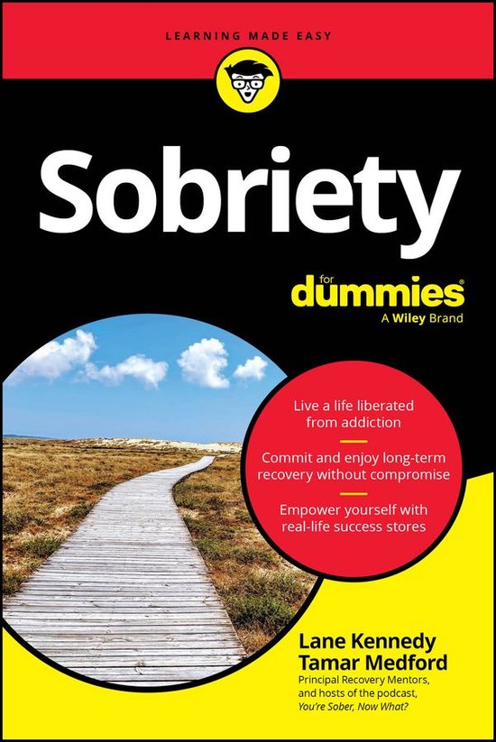 Sobriety For Dummies - cover