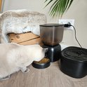 Een lichtgrijze kat eet uit een automatische voerbak naast een fontein.