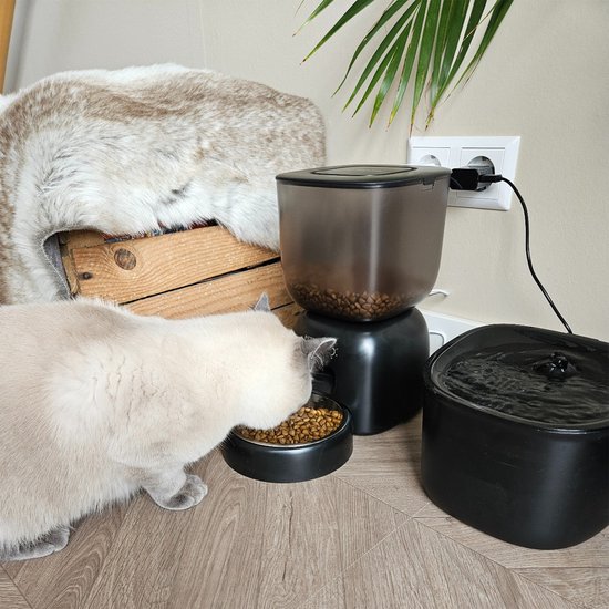 Een lichtgrijze kat eet uit een automatische voerbak naast een fontein.