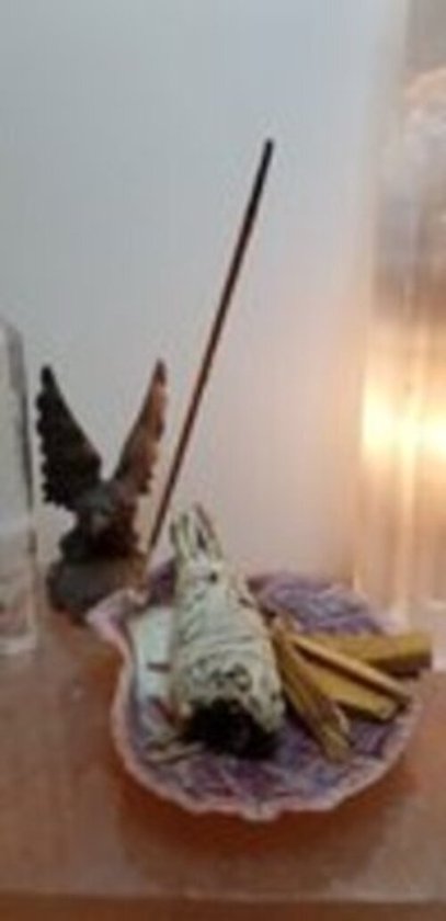 Smudge set - kit - Tijgerschelp - witte salie smudge stick - white sage (wierookstokjes 5 x) - Palo Santo 25 gram (heilig hout) - Meditatie - Yoga - Huis reiniging - Zuivering