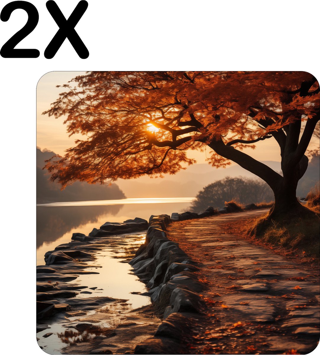BWK Flexibele Placemat - Landschap - Boom - Water - Herfst - Set van 2 Placemats - 40x40 cm - PVC Doek - Afneembaar