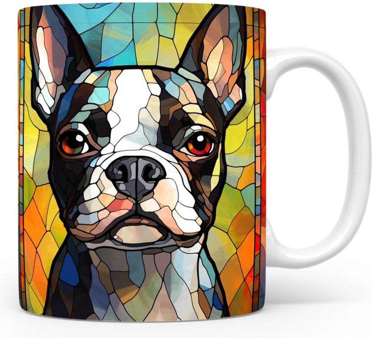 Mok met Boston Terrier